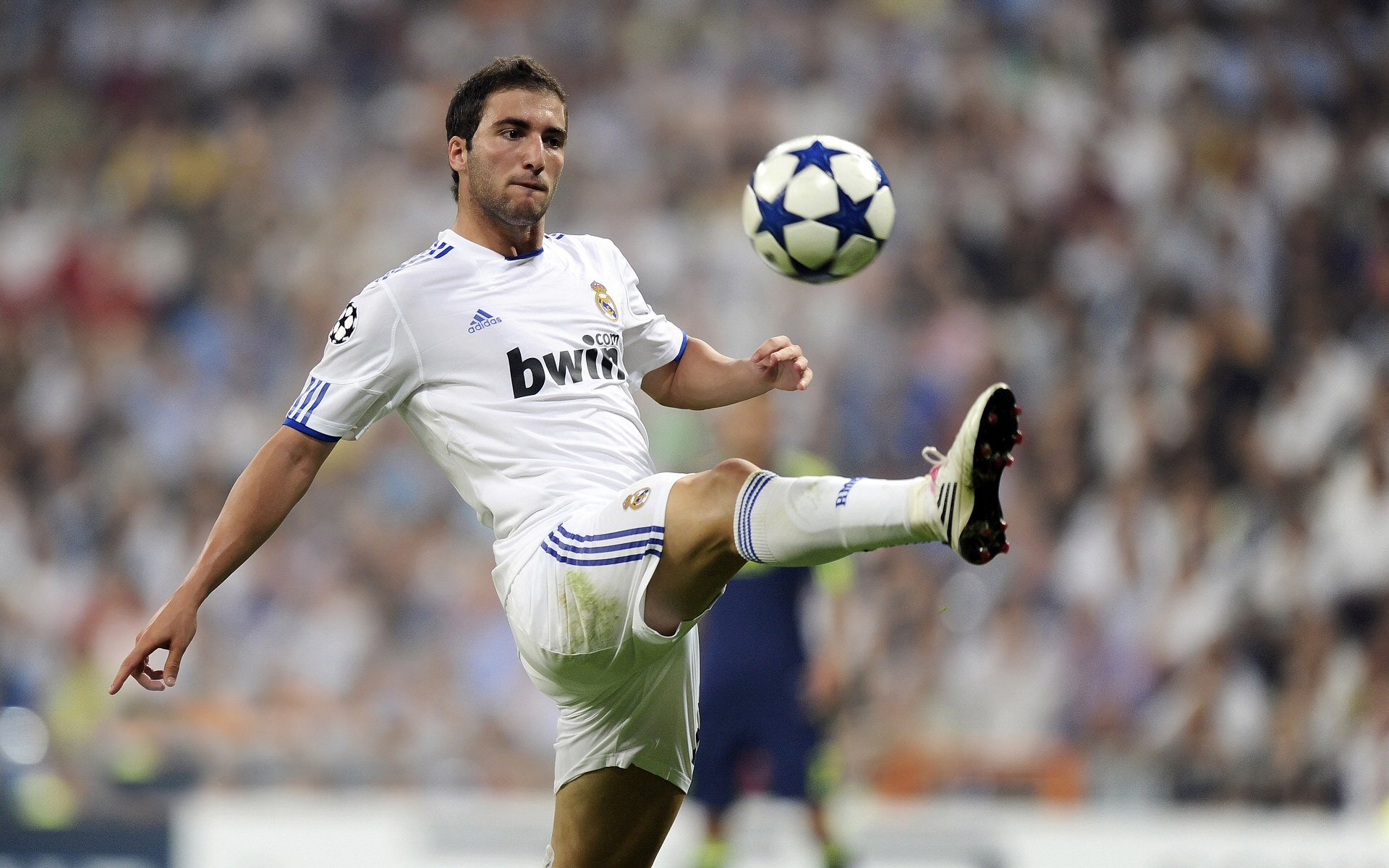 开拓者球员发布成名之作 震惊全场，开拓者球员名单及薪水