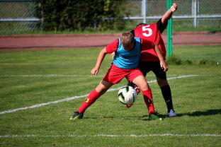 九游下载官网-篮球运动员训练负荷监控系统开发与应用研究，篮球运动员运动负荷量