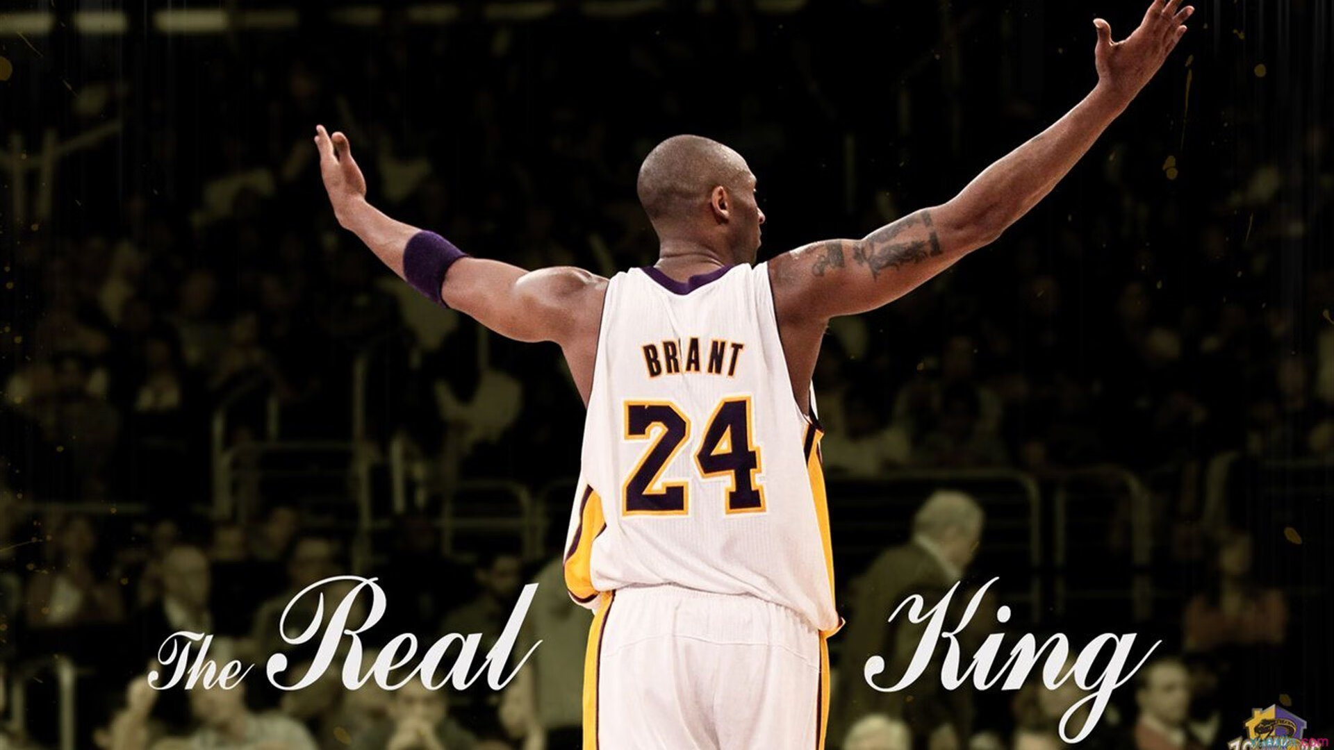 _森林狼新秀表现抢眼，未来可期_，森林狼新秀2020