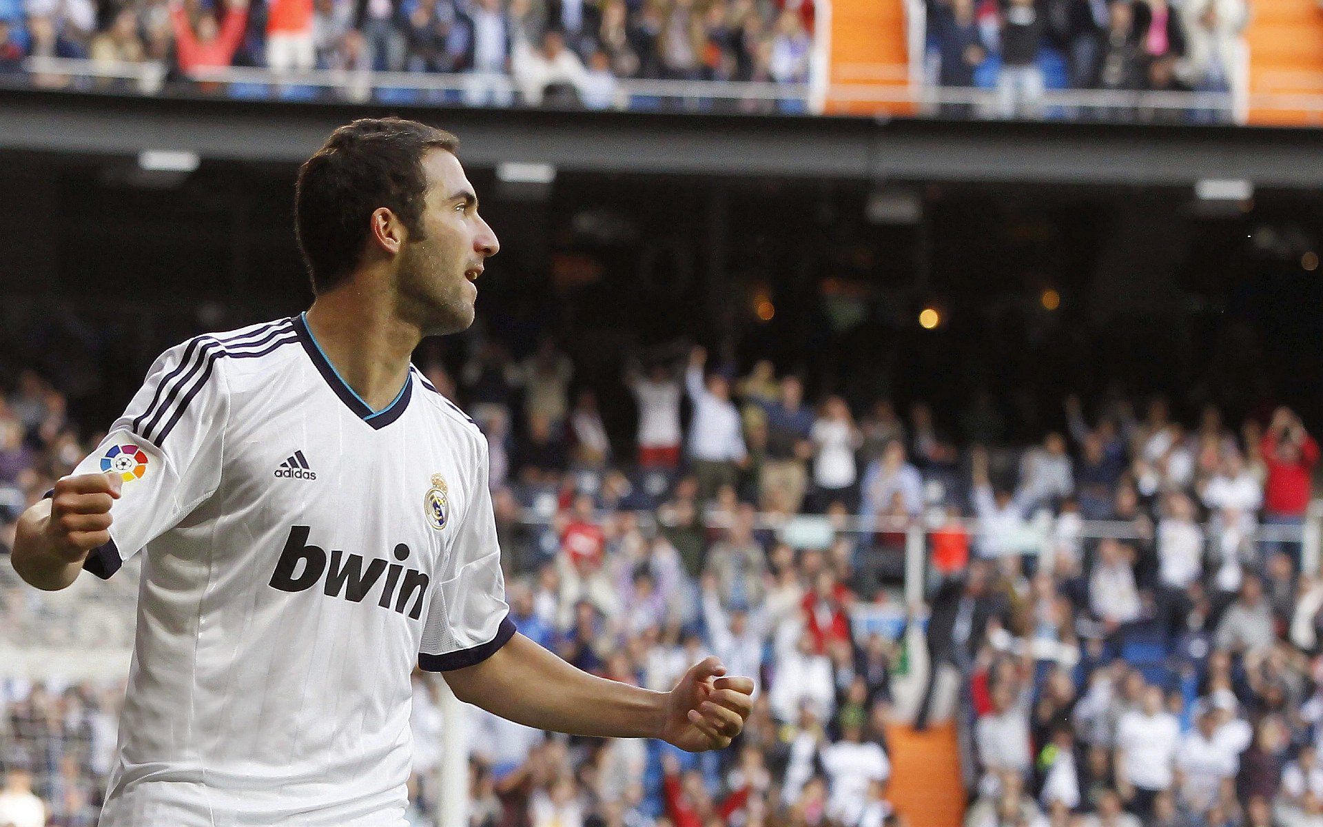 场边趣闻：教练和裁判的幕后故事，教练员和裁判员之间的关系